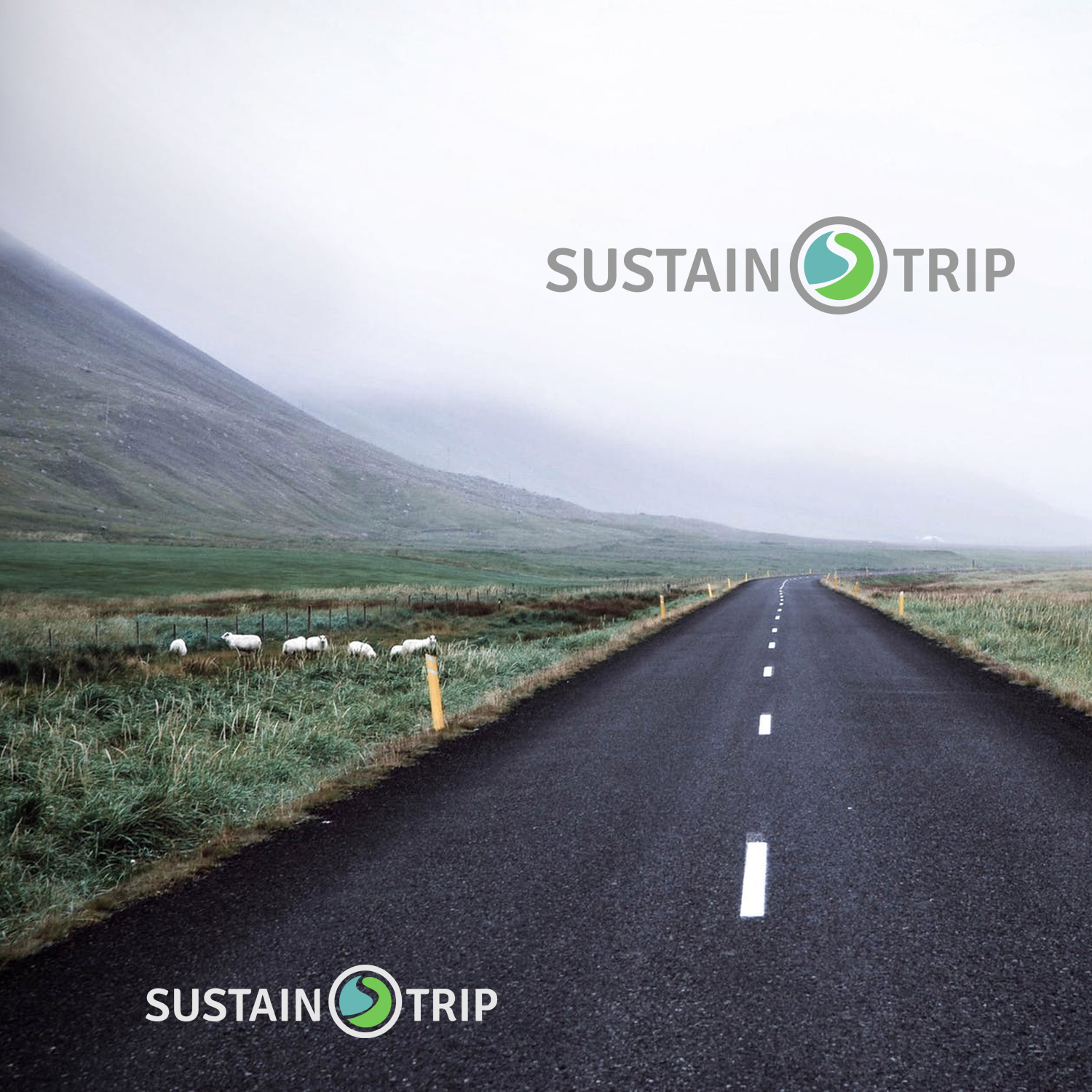 Logo Design by Lesia_Olesia for this project | Design #21633470