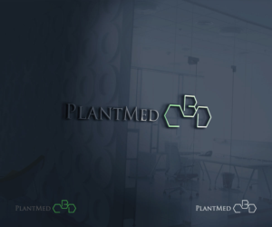 Logo Design by Kinsey