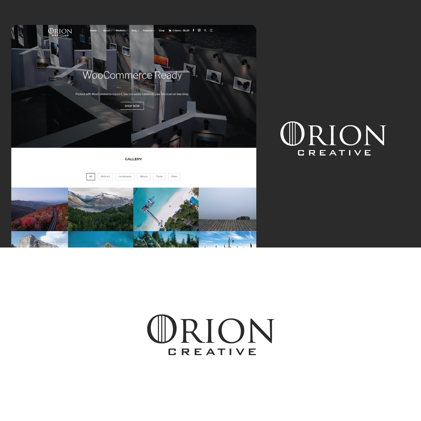 Logo Design by Maxo-Biz for Orion Solutions | Design #21627727