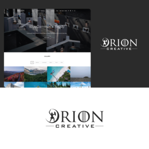 Logo Design by Maxo-Biz for Orion Solutions | Design: #21627729