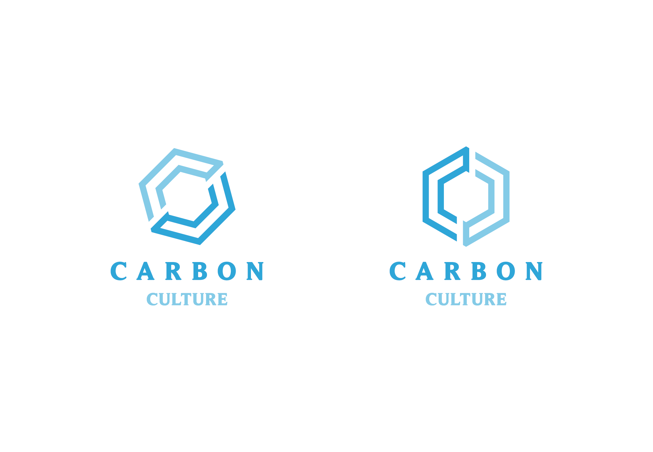 Logo Design by Ezgi Kilavuz for this project | Design #21676819