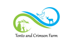 Logo Design by imgaurav92