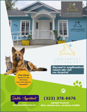 Newspaper Ad Design by Creativeadpro for Larchmont Village Vet | Design #21649041