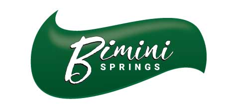 Logo Design by imgaurav92 for Azure Airways LLC | Design #21636835