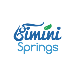 Logo Design by creativever for Azure Airways LLC | Design: #21641607