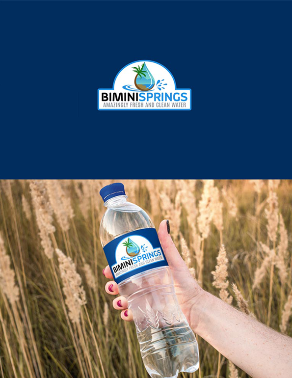 Logo Design by ARtKISTA for Azure Airways LLC | Design #21632554