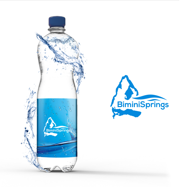 Logo Design by syrwebdevelopment for Azure Airways LLC | Design #21645668