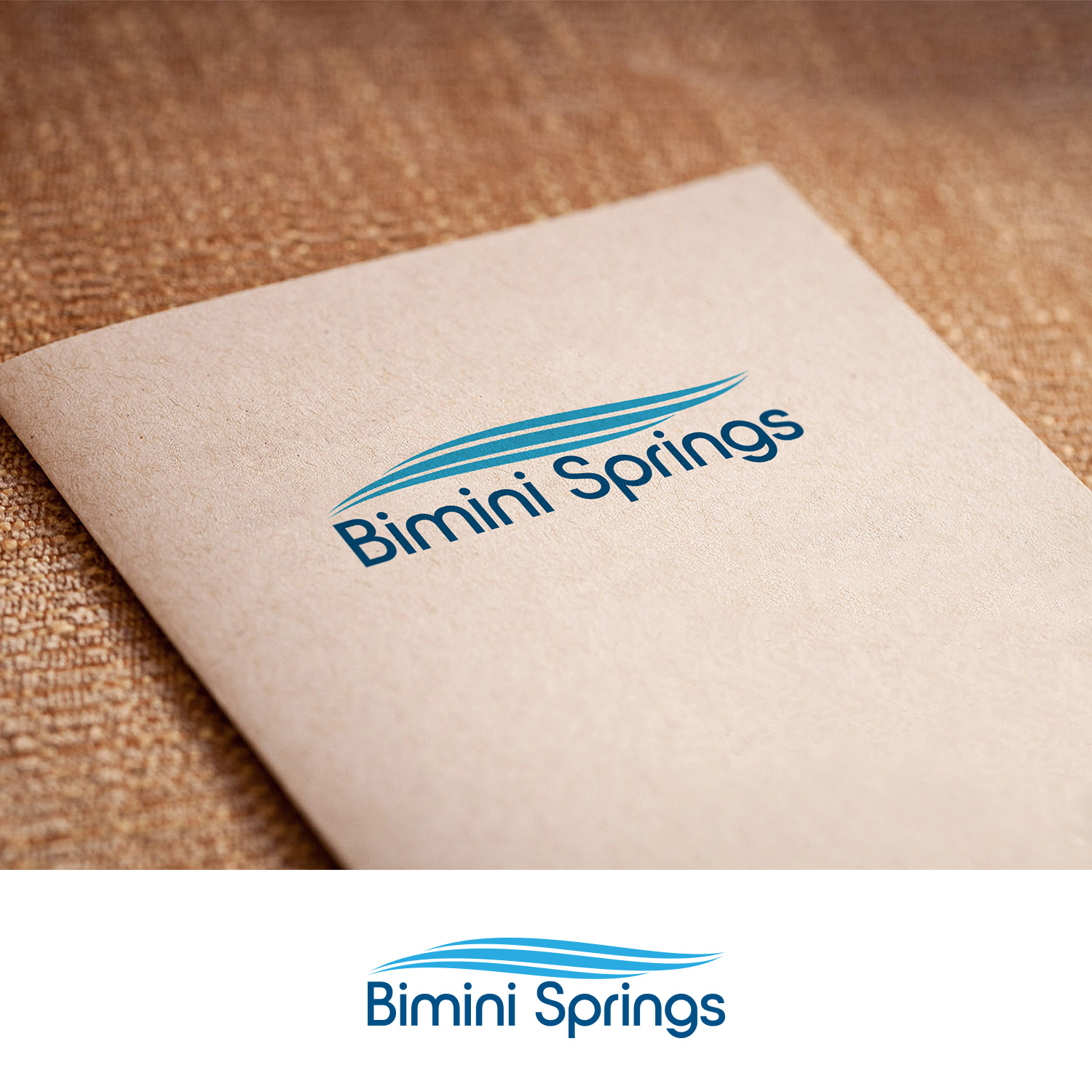 Logo Design by DesignDUO for Azure Airways LLC | Design #21655741