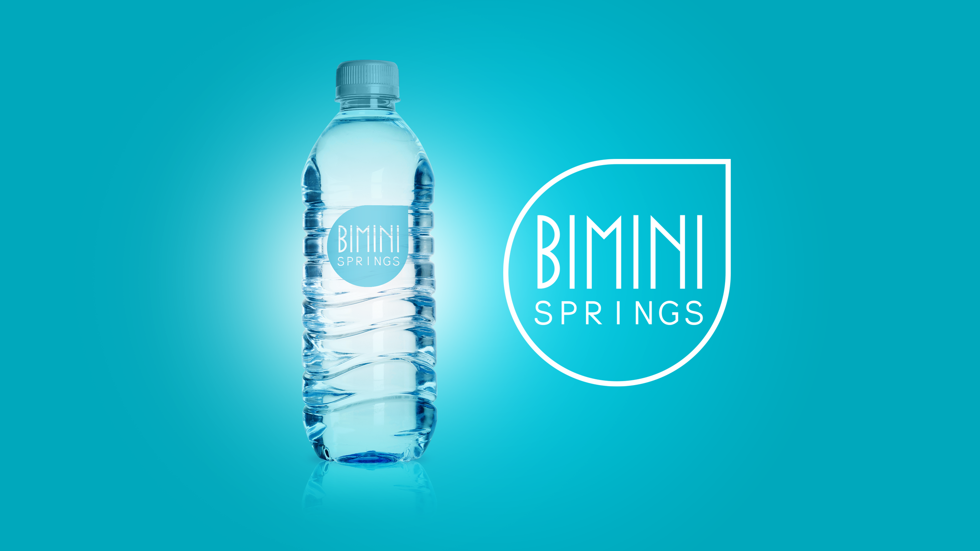 Logo Design by leMhamdi for Azure Airways LLC | Design #21630619