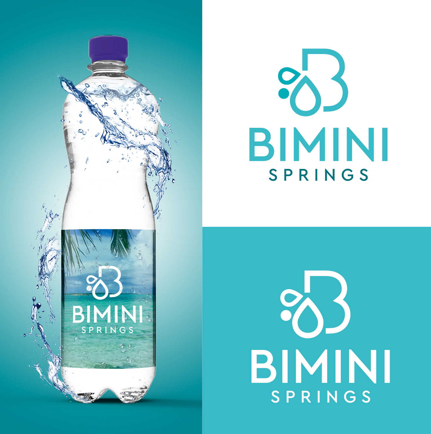 Logo Design by Bang Bang for Azure Airways LLC | Design #21635312