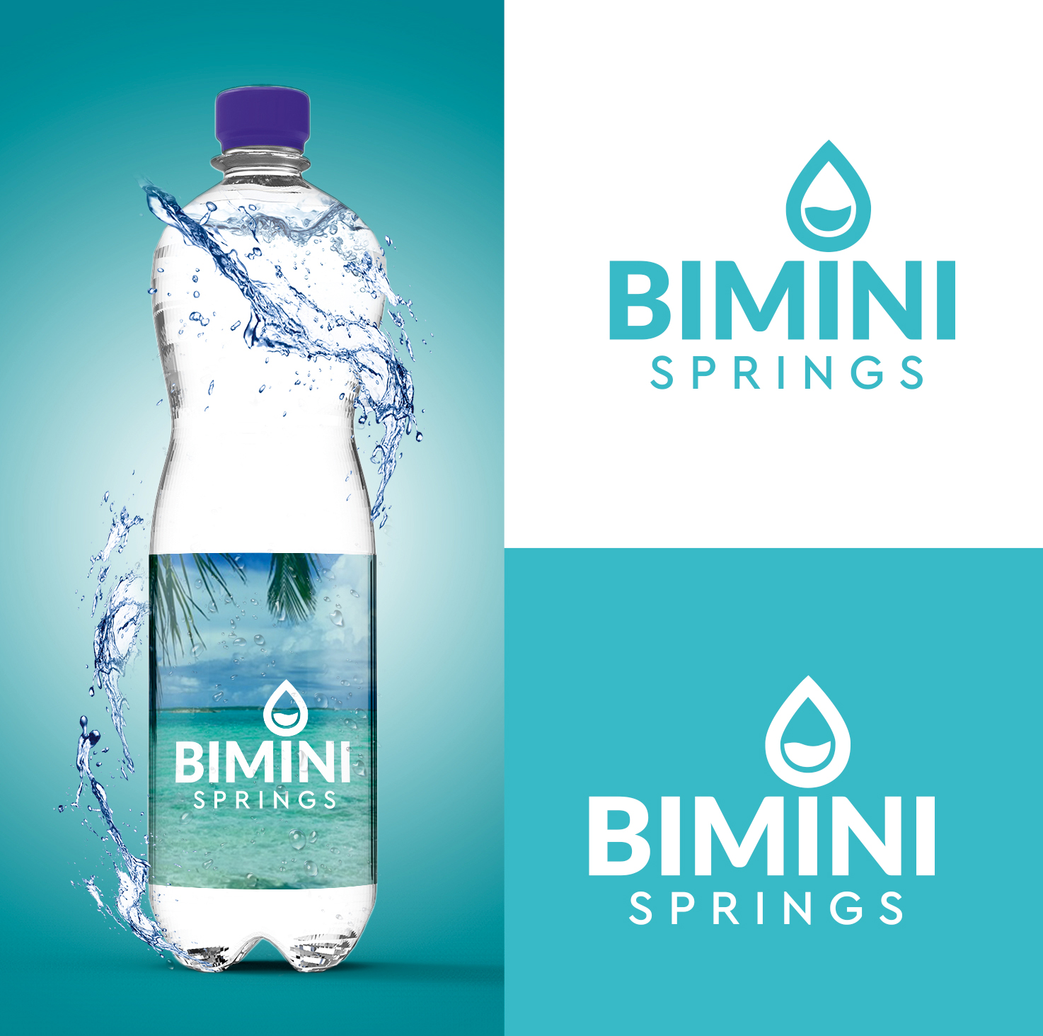 Logo Design by Bang Bang for Azure Airways LLC | Design #21635313