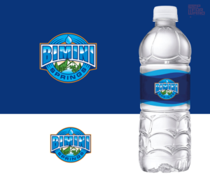 Bimini Springs  | Logo Design by step forward 2
