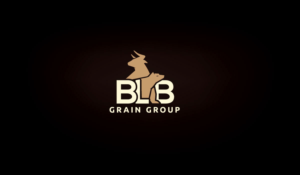 Diseño de Logo por Bari K. para este proyecto | Diseño: #21667540