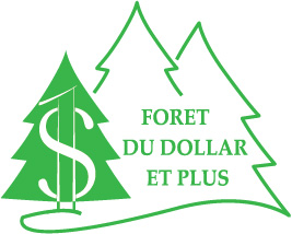 Logo Design by Marina