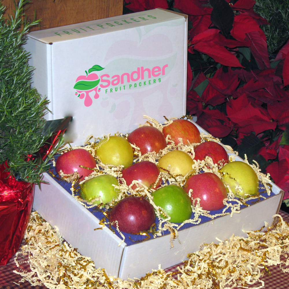 Logo Design by Bari K. for this project | Design #21676549