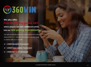 Design de Page d'Accueil par pb pour 360WIN | Design : #21683765