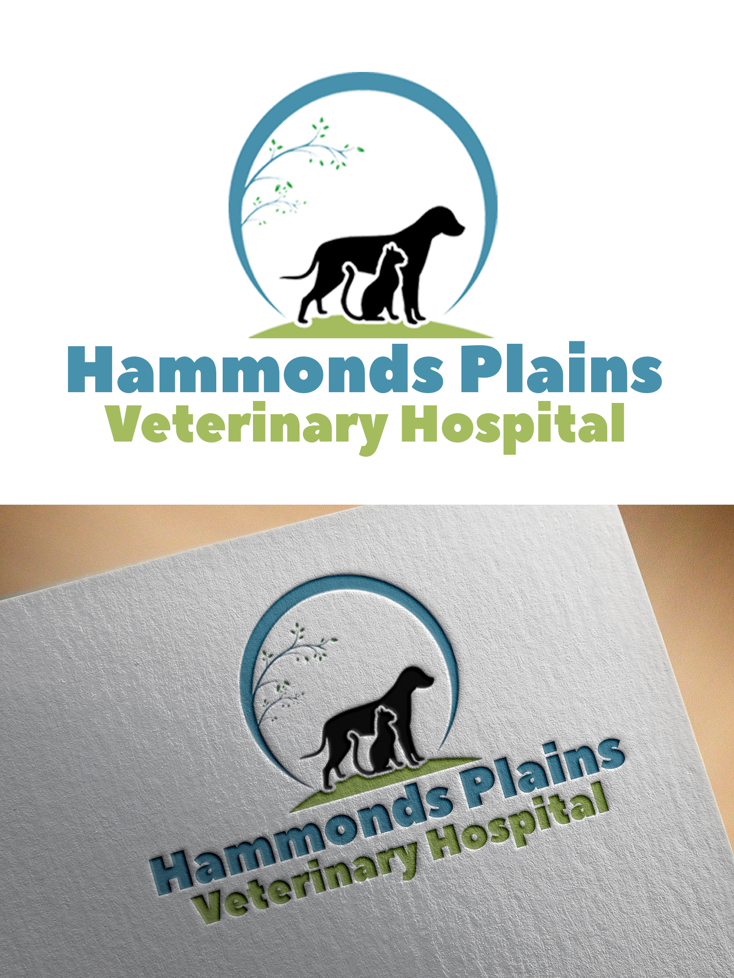 Design de Logo par chris.pillo091@gmail.com pour ce projet | Design #21672844