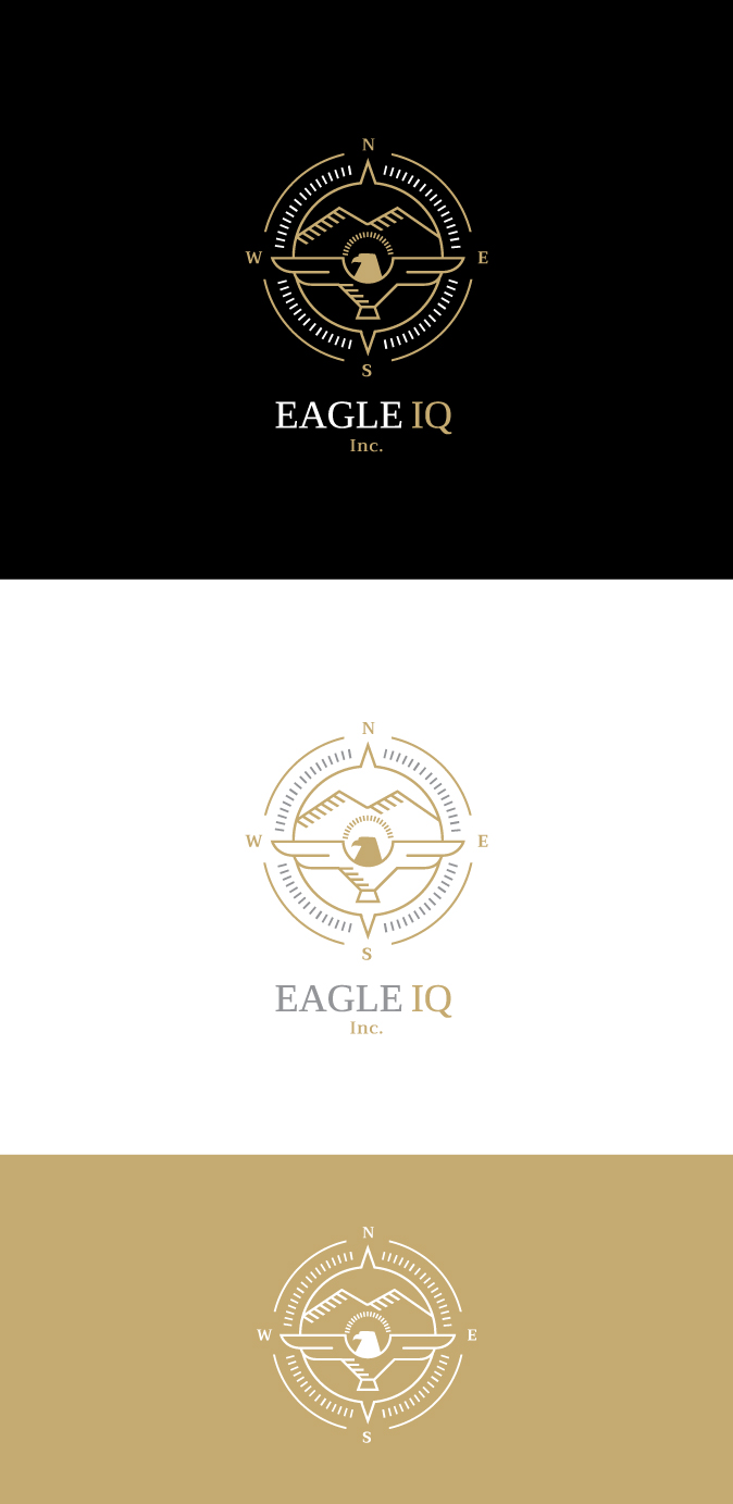 Logo Design by somani for Eagle iQ, inc. | Design #21710701