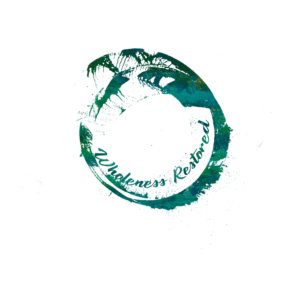 Graphic Design by cristina.basoiu 2 for Wholeness Restored | Design: #21711384