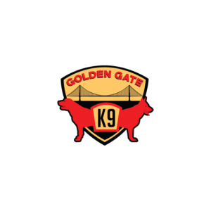 Logo Design by ESolz Technologies