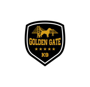 Logo Design by Danifsketsart