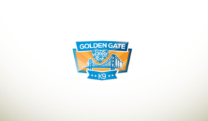 Diseño de Logo por Bari K. para 1972 | Diseño: #21684685