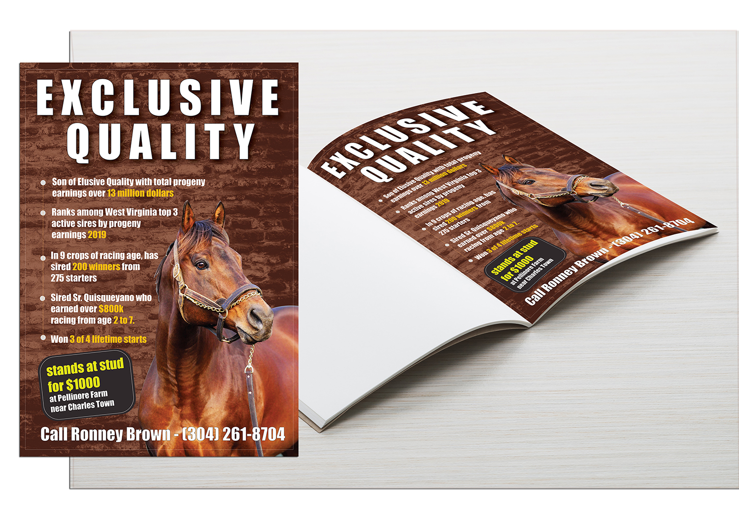 Flyer Design by ColorDrops for FiberCablesDirect.com | Design #21701085