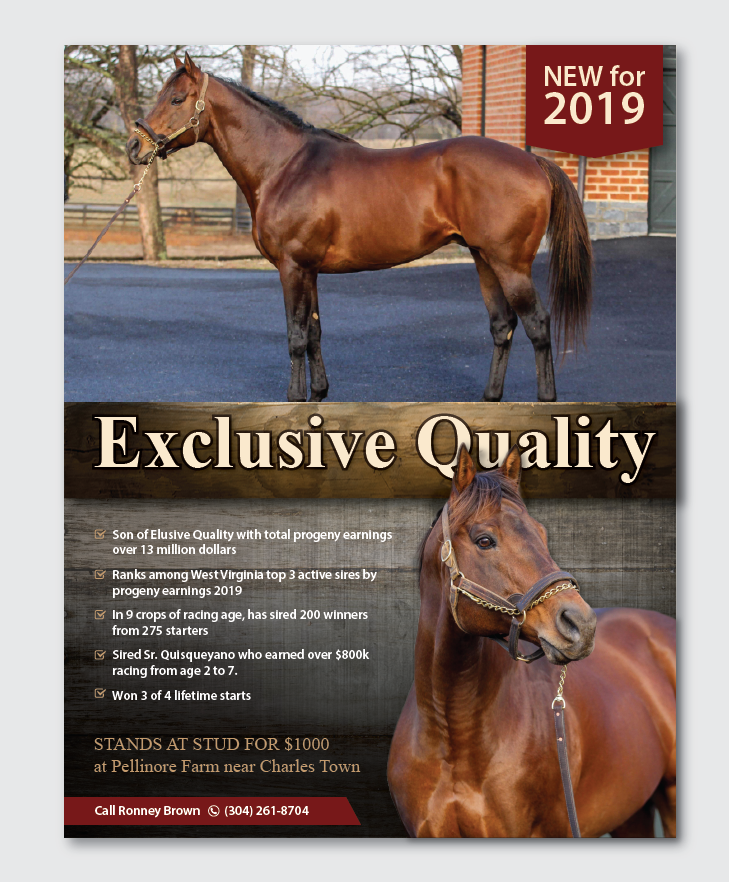 Flyer Design by alex989 for FiberCablesDirect.com | Design #21701844