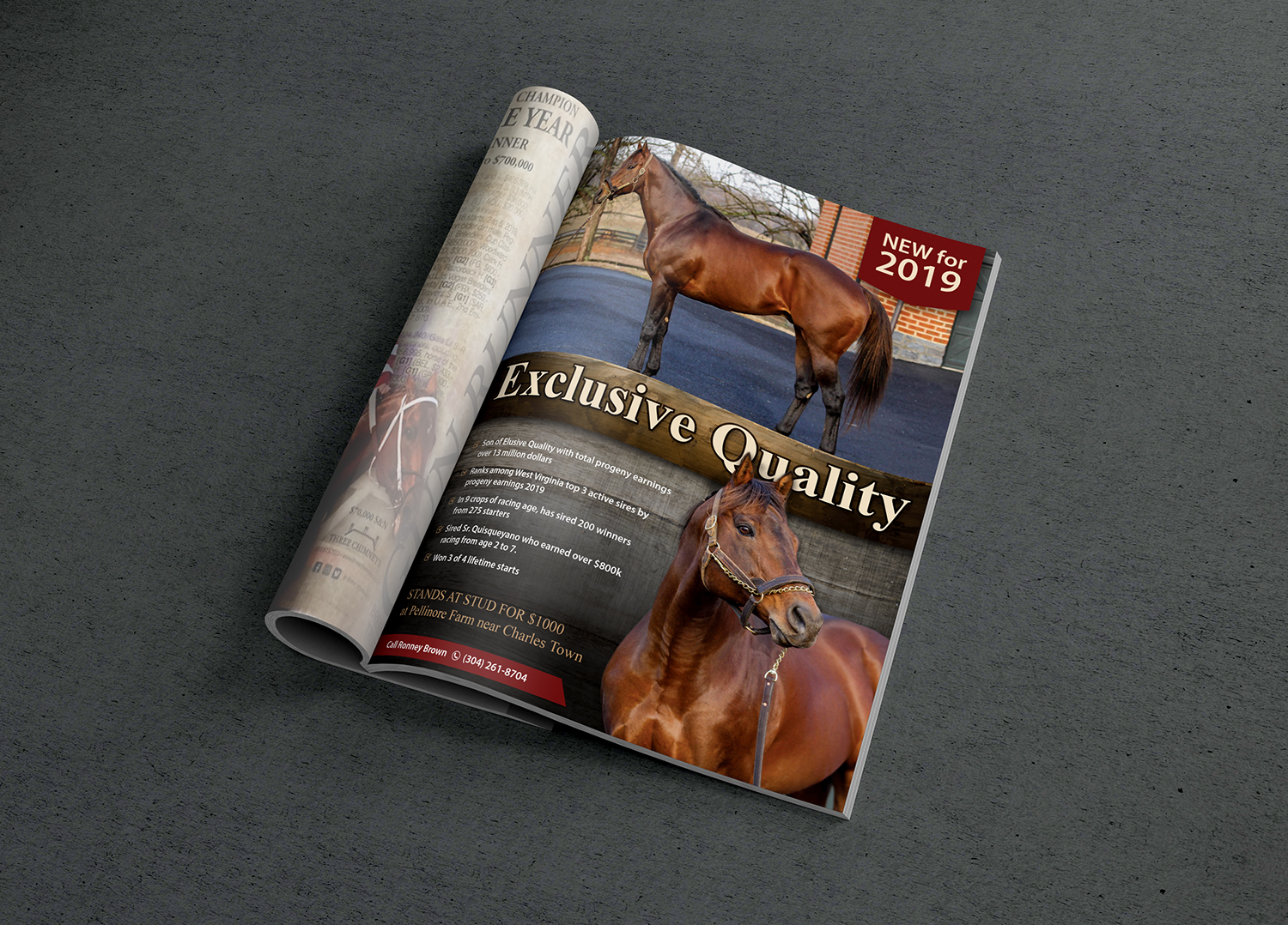 Flyer Design by alex989 for FiberCablesDirect.com | Design #21701876