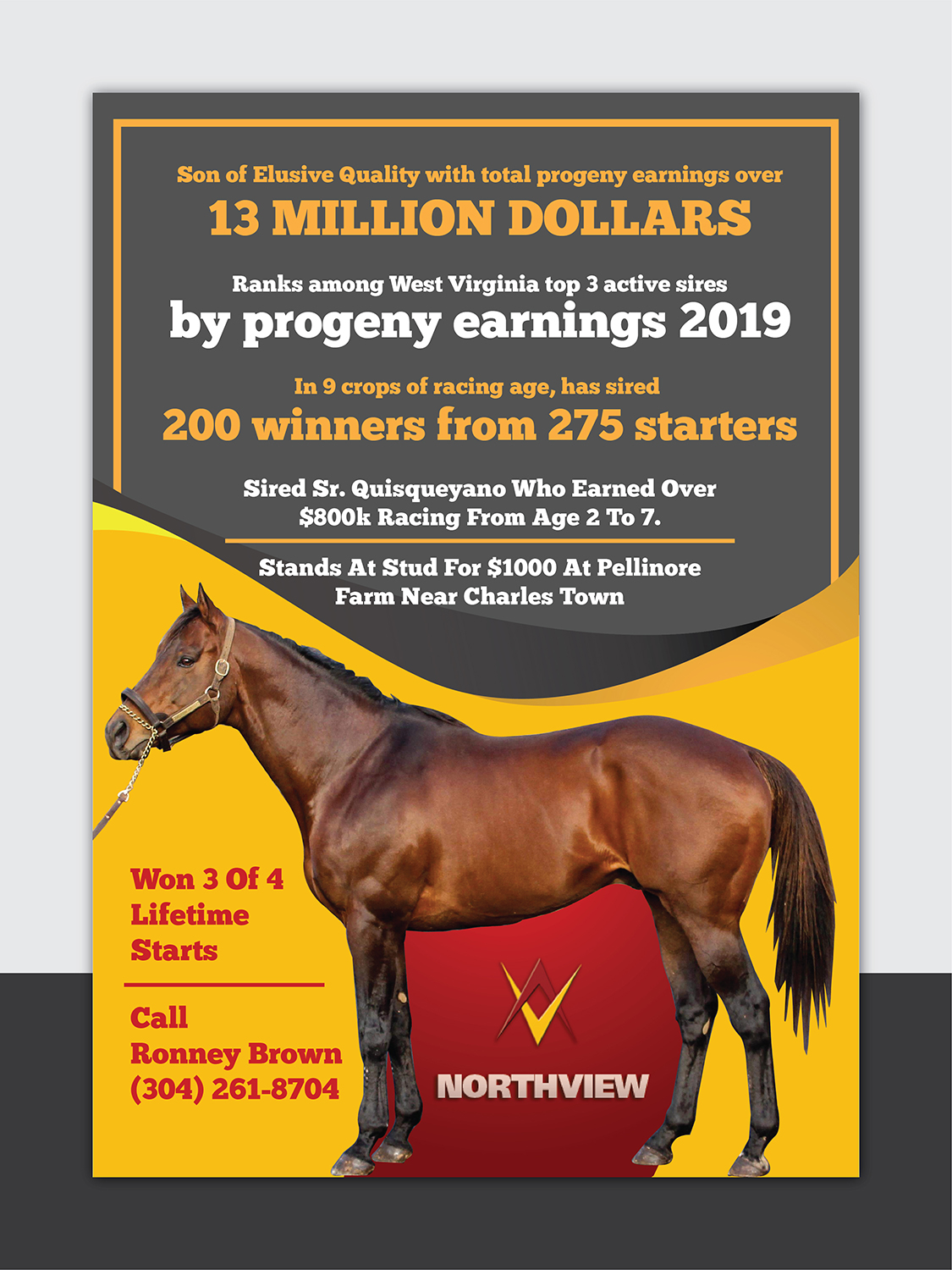 Flyer Design by Deziners Zone for FiberCablesDirect.com | Design #21700759