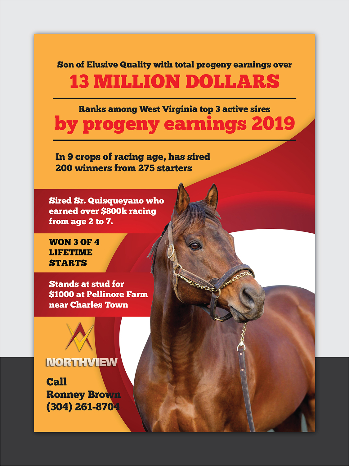 Flyer Design by Deziners Zone for FiberCablesDirect.com | Design #21700760