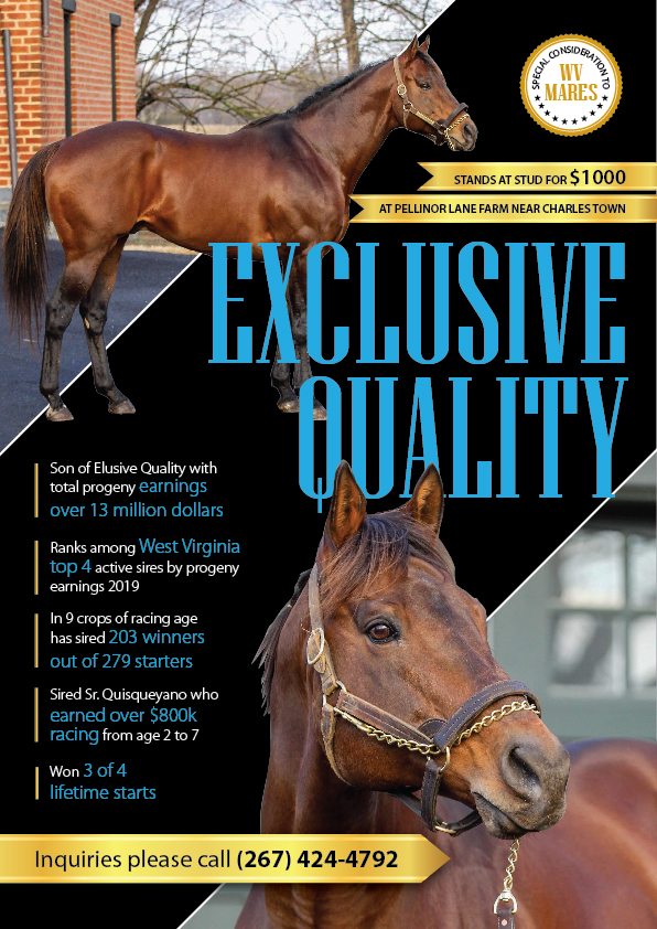 Diseño de Flyer por eleven para FiberCablesDirect.com | Diseño #21711292