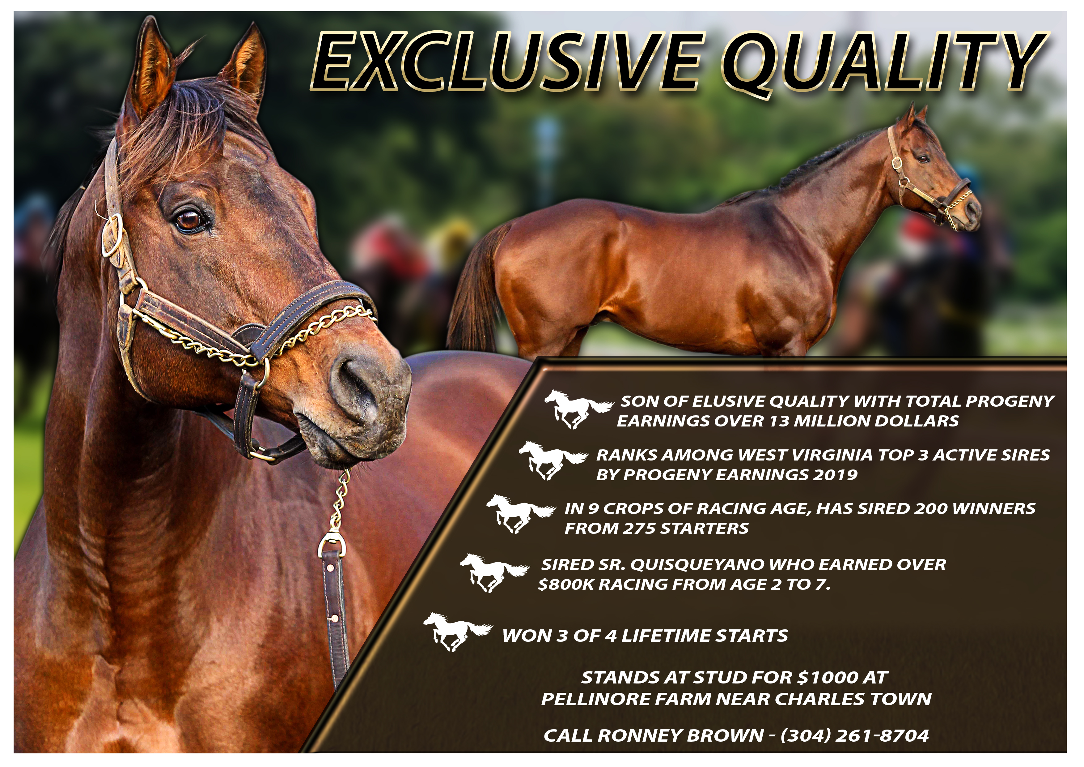 Design de Flyer par Jhei pour FiberCablesDirect.com | Design #21717218