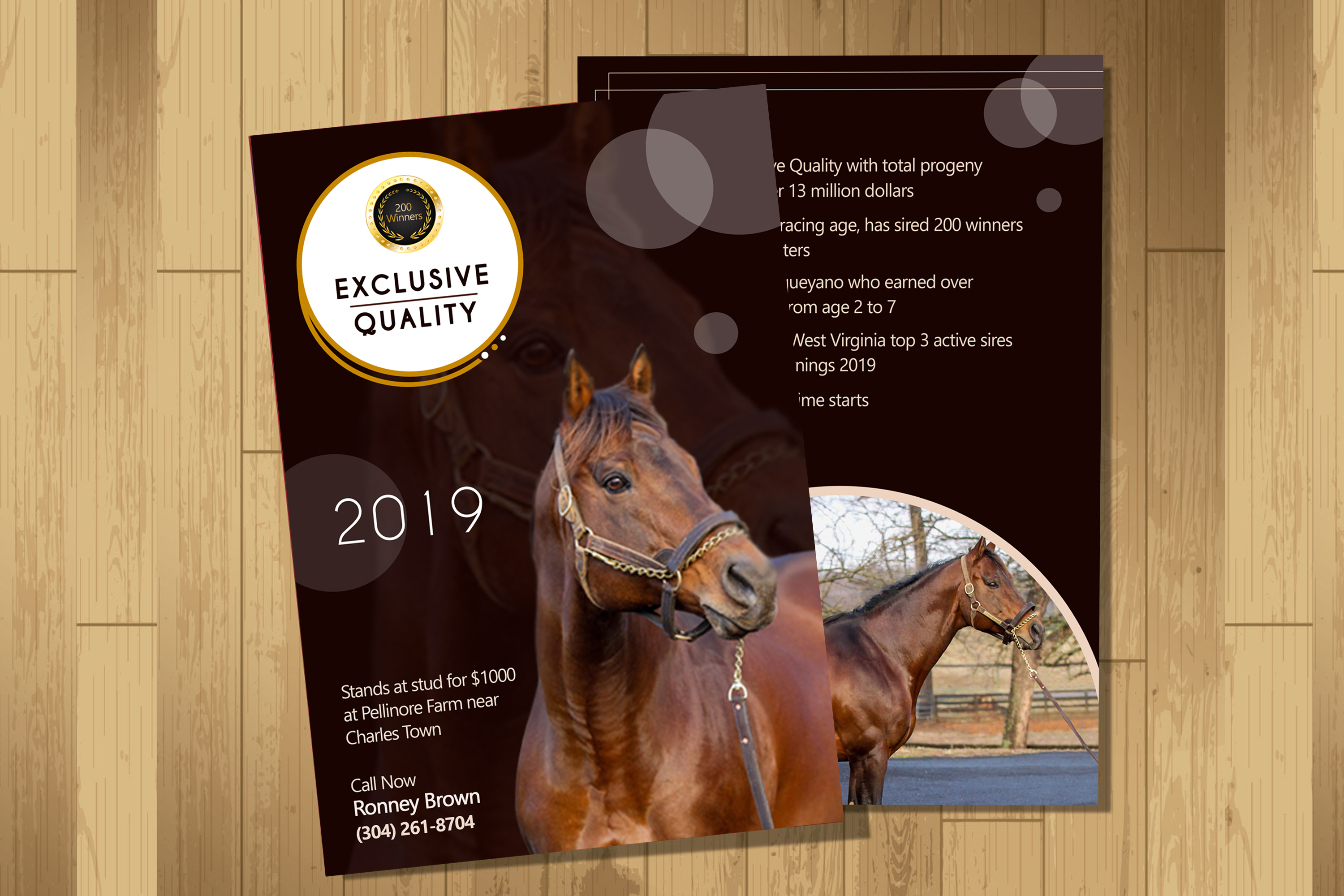 Flyer Design by Suman Charania for FiberCablesDirect.com | Design #21707839