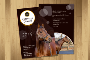 Flyer Design by Suman Charania for FiberCablesDirect.com | Design: #21707839