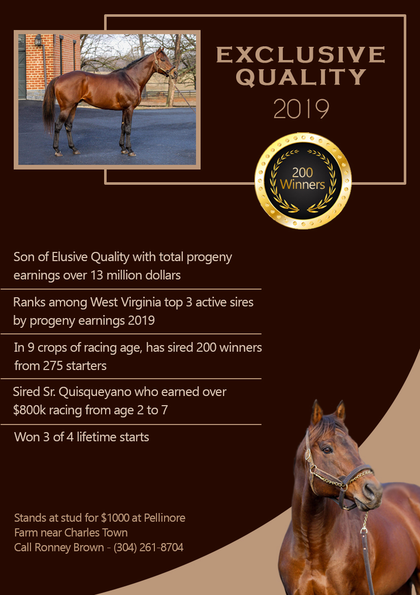 Flyer Design by Suman Charania for FiberCablesDirect.com | Design #21707840