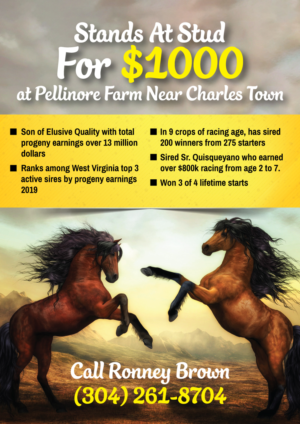 Flyer Design by Fusionex Studio for FiberCablesDirect.com | Design: #21714287