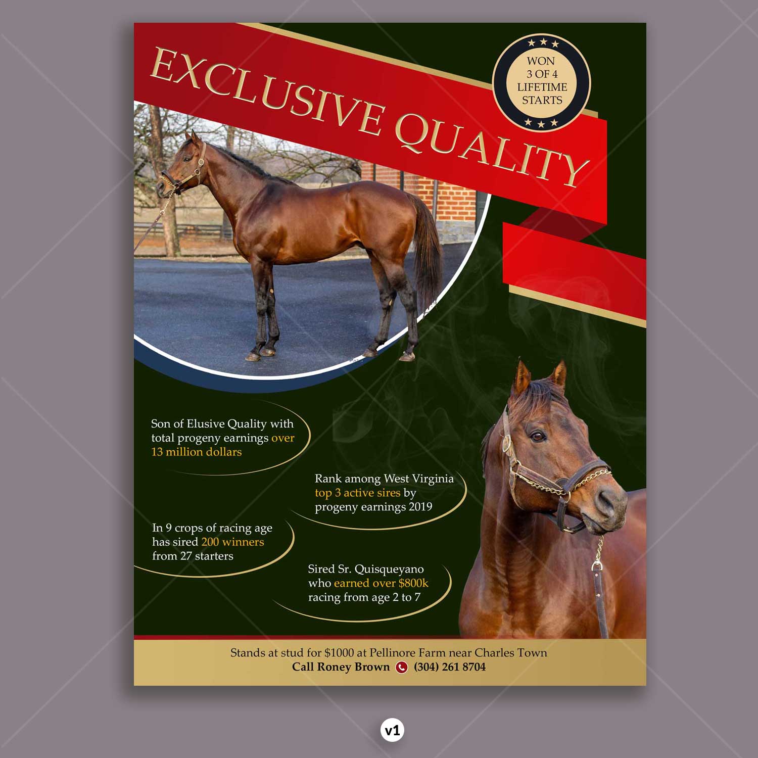 Flyer Design by DA. for FiberCablesDirect.com | Design #21694243