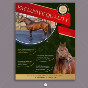 Exclusive Quality Informational Sheet | Diseño de Flyer por DA.