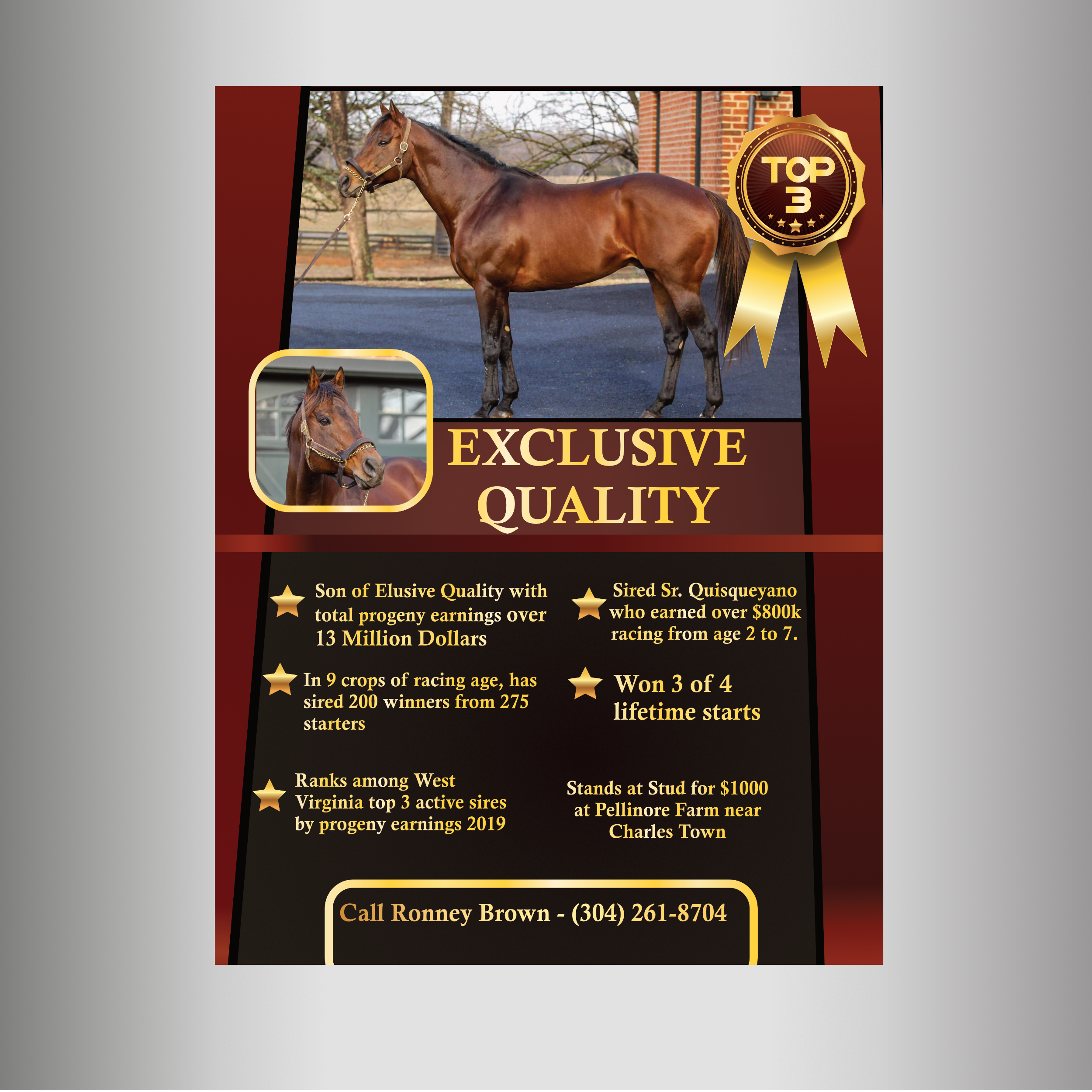 Flyer-Design von Kreative Life für FiberCablesDirect.com | Design #21696512