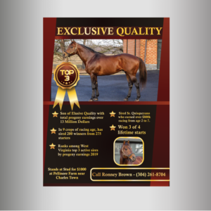 Flyer Design by Kreative Life for FiberCablesDirect.com | Design: #21696513