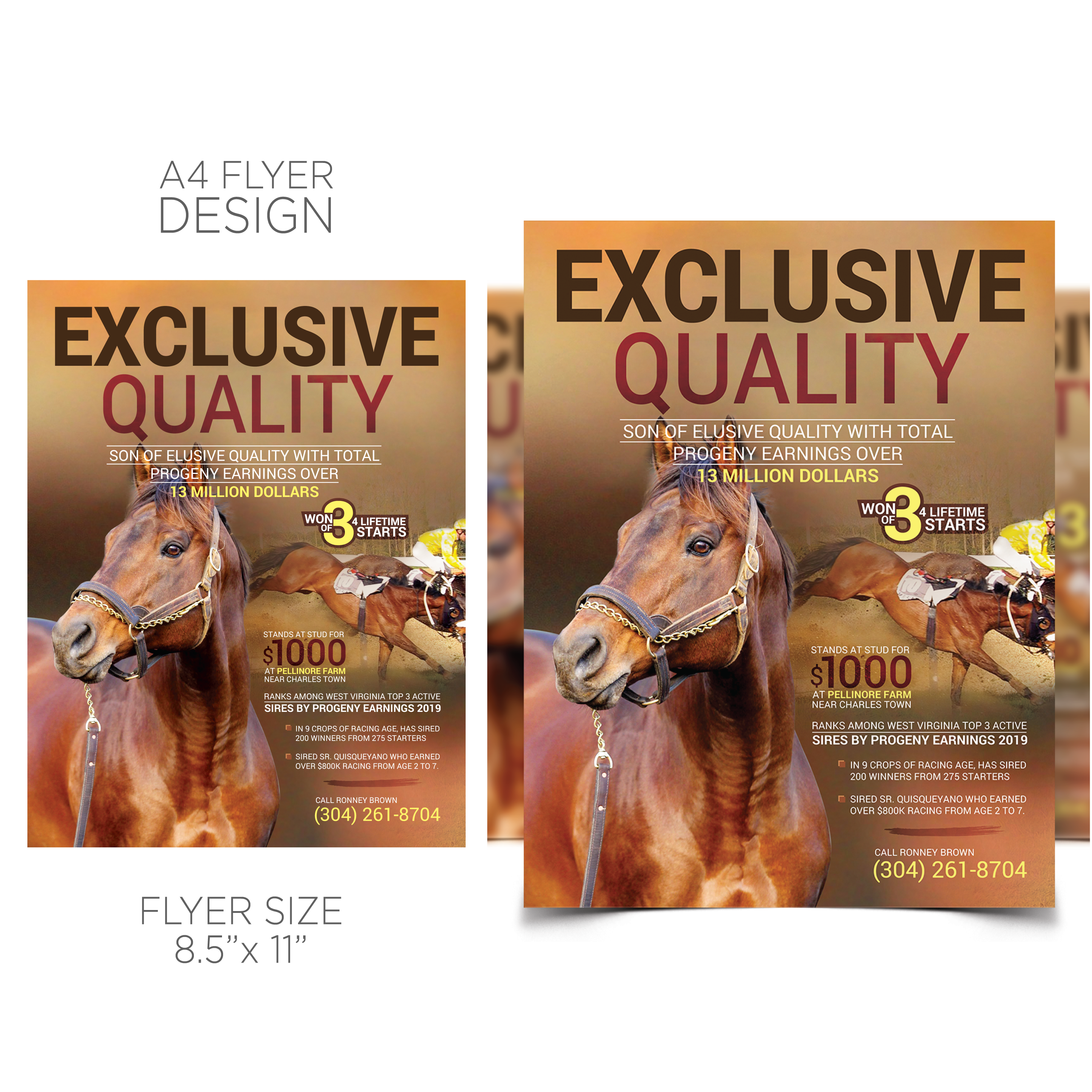 Flyer Design by fastdesign360 for FiberCablesDirect.com | Design #21689363