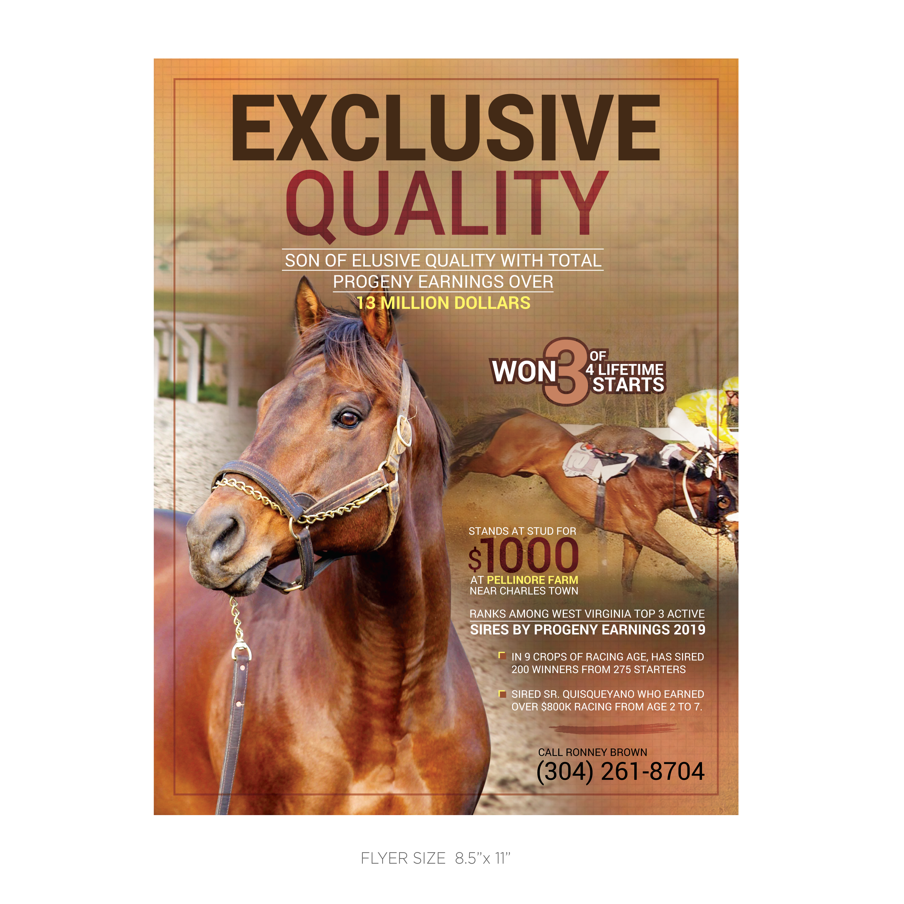 Flyer Design by fastdesign360 for FiberCablesDirect.com | Design #21693944