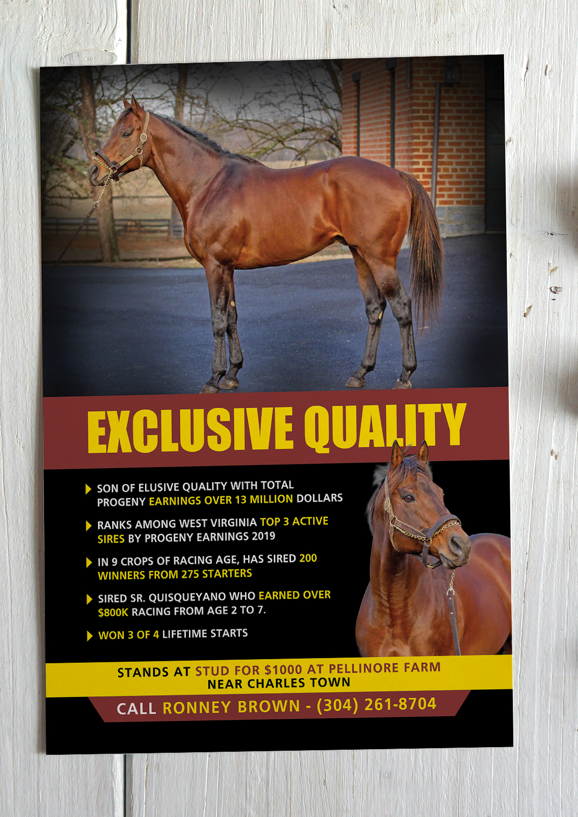 Diseño de Flyer por Creativeadpro para FiberCablesDirect.com | Diseño #21690317