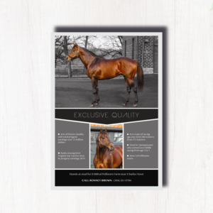 Flyer Design by Justine Chaussin--Terrillon