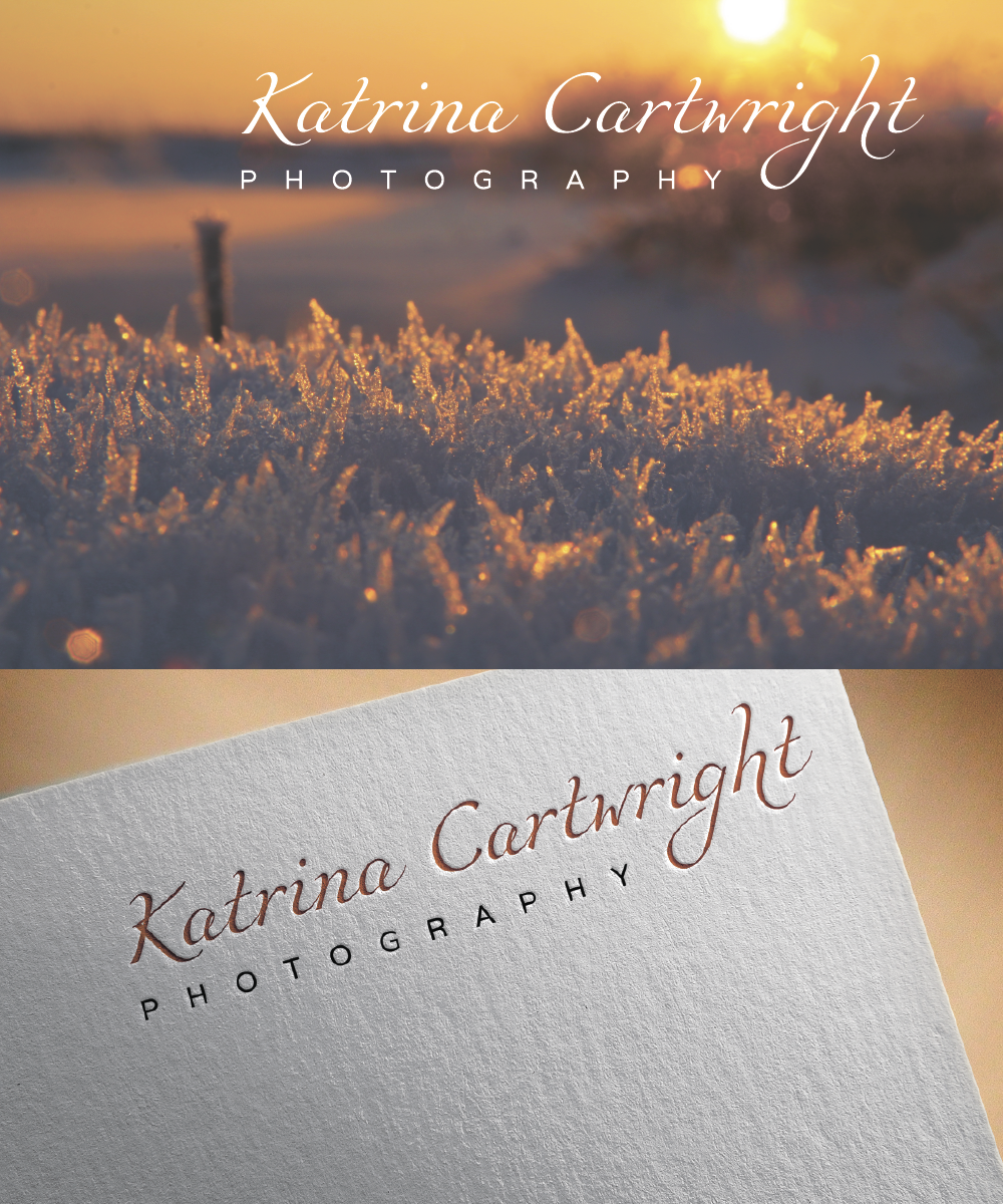 Diseño de Logo por P-95 para este proyecto | Diseño #21749372