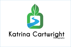 Logo Design by nepolitik