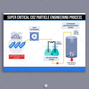 Infographic Design by DA. for this project | Design: #21692866