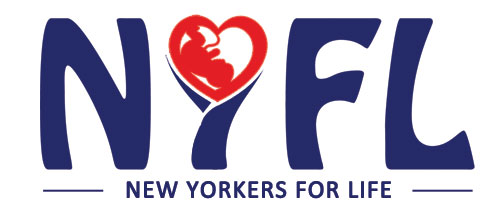 Logo Design by Sukrutisolutions for this project | Design #21701141