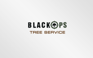 Logo Design by MT
